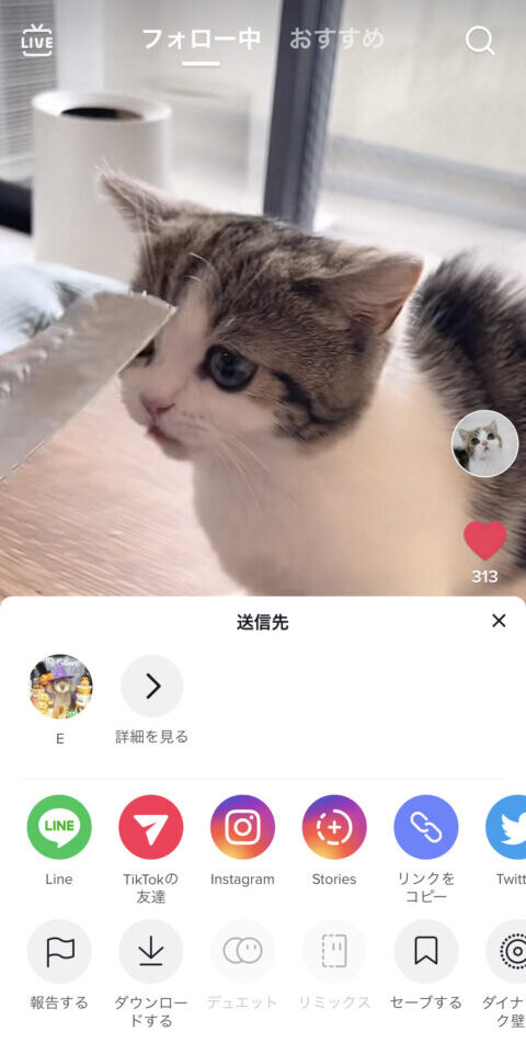 TikTok　ウォーターマーク　消す