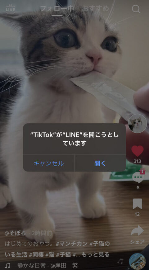 TikTok　ウォーターマーク　消す